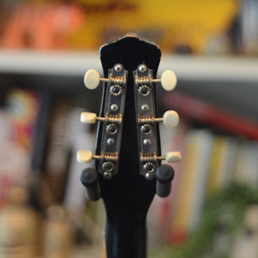 1956 Black Danelectro U-2 w/ Tweed Case