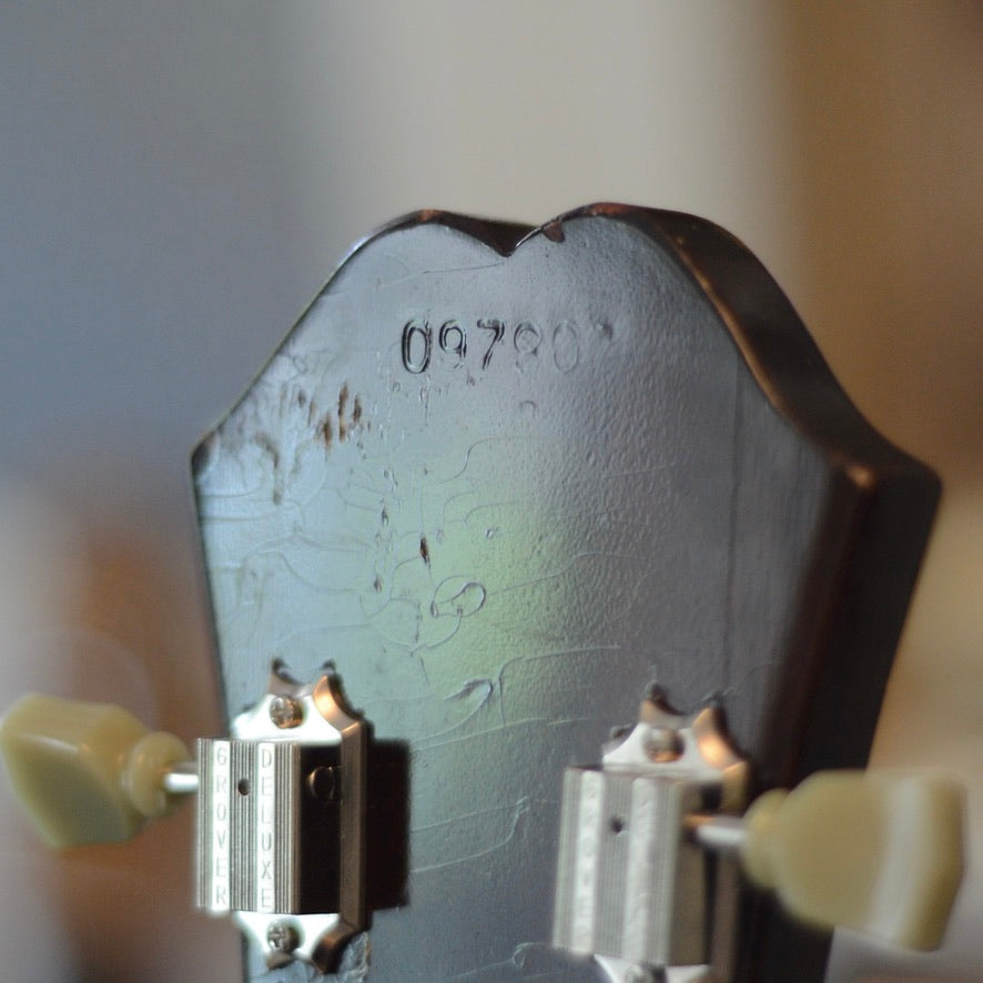 Shows the serial number on the back of the headstock of a 1967 Epiphone Riviera