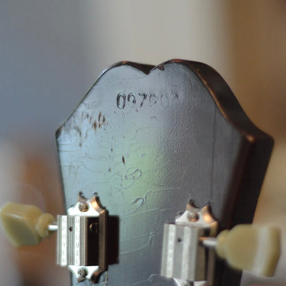 Shows the serial number on the back of the headstock of a 1967 Epiphone Riviera