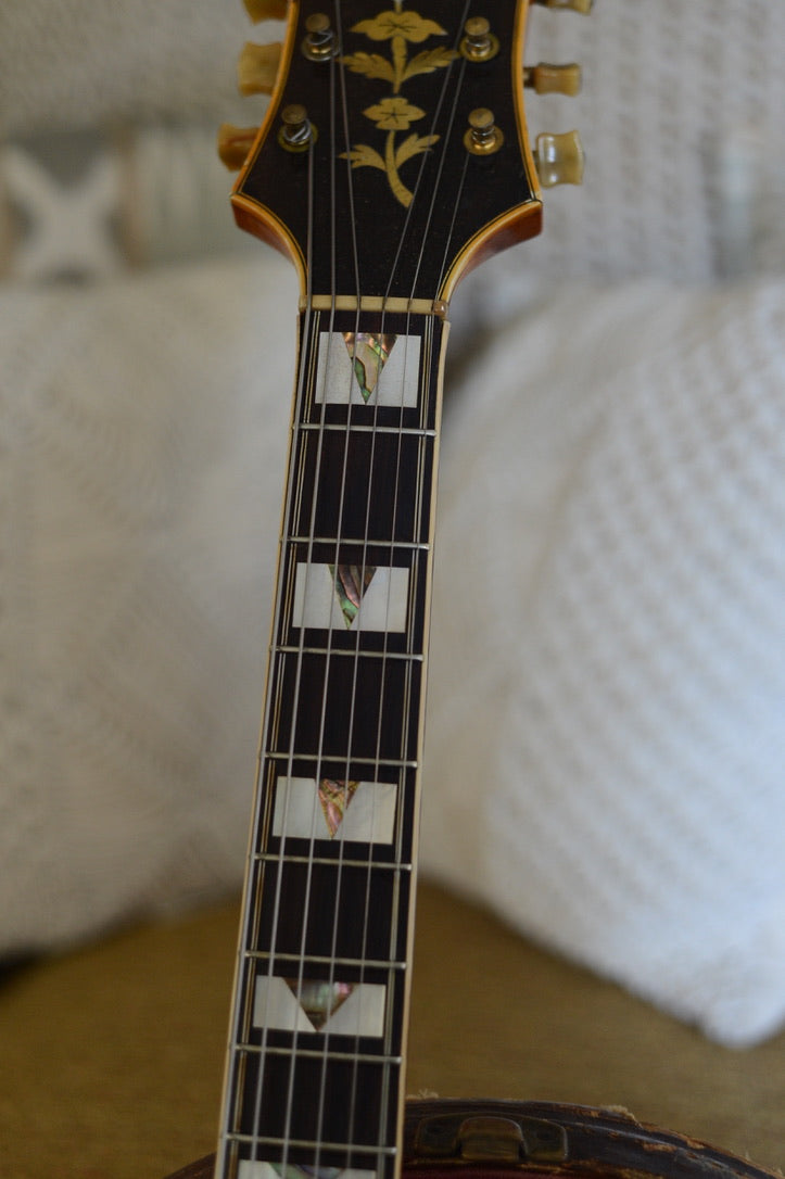 Project! 1950s Epiphone Zephyr Emperor Regent Natural w/OHSC