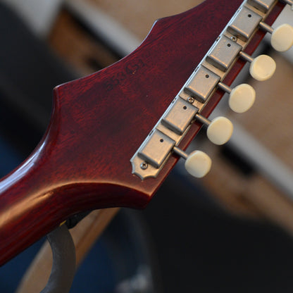 1965 Epiphone Olympic