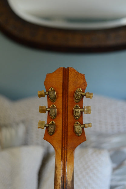 Project! 1950s Epiphone Zephyr Emperor Regent Natural w/OHSC